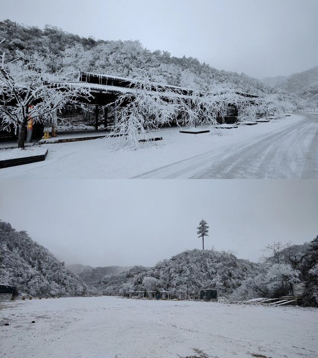 永州雙牌陽明山｜霧淞美如仙境，雲霧繚繞間散發出神秘而寧靜