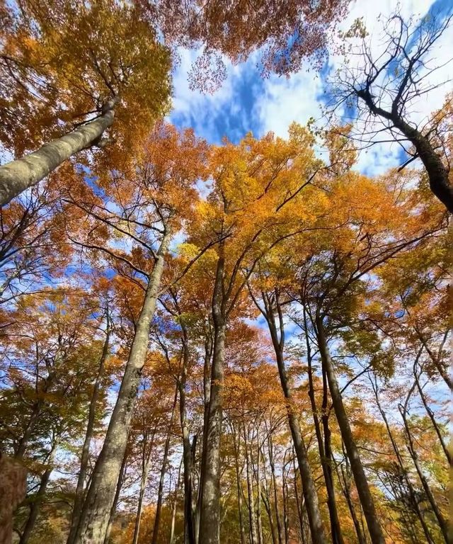 香爐山｜上帝打翻的顏料桶—米倉山之“香爐山”