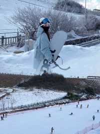 在冰雪中聽風呼嘯而過，來一場雪上的速度與激情……