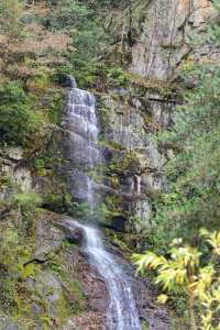 山水畫廊黃柏塬