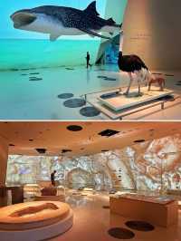 “沙漠玫瑰”卡塔爾國家博物館太美了！建築本身就是一件藝術品！