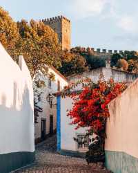 🌺🇵🇹 Bougainvillea Beauty: A Picturesque Palette in the Heart of Portugal! 📸🌿