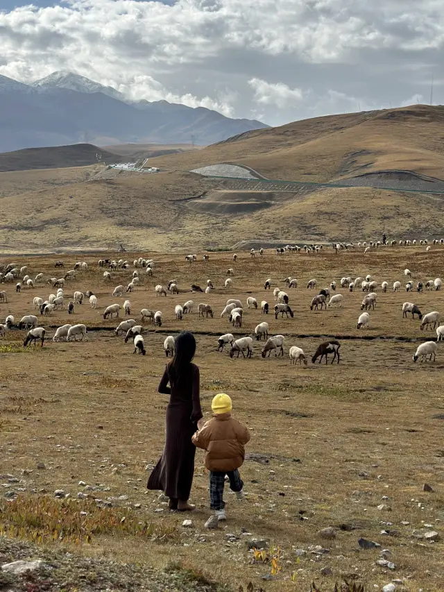 ซีนิ่ง | ทะเลสาป Qinghai สวยมากจริงๆ คุ้มค่าที่มาทริปนี้