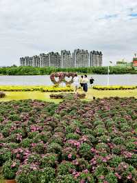 義烏植物園，菊韻醉金秋