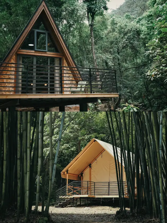 New opening! 2h around Nanning, hide in the forest to unlock a healing holiday