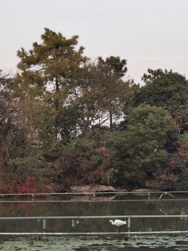 醉美深秋