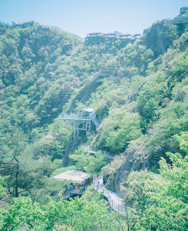 終於去了心心念念的安吉雲上草原