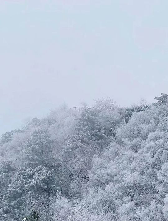 北京雪景｜香山雪景