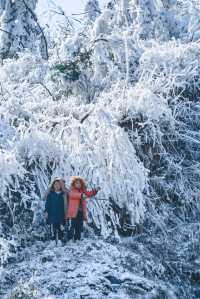 廣州周邊看雪聖地，雲端賞冰雪霧凇奇觀