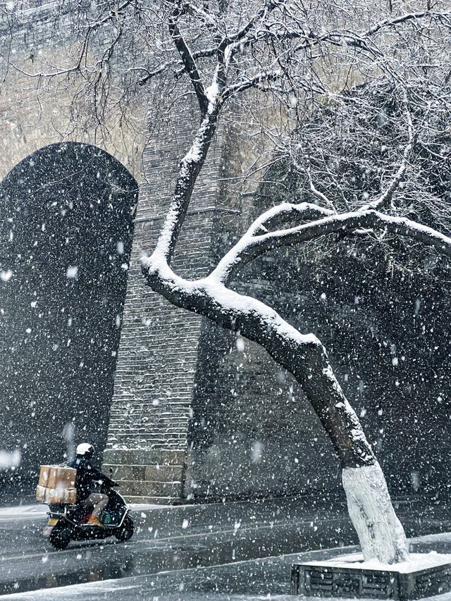 西安_雪花飄飄的大雁塔 西安_雪花飄飄的大雁塔