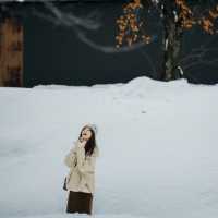日本跨年|比北海道更美的童話雪景白川鄉