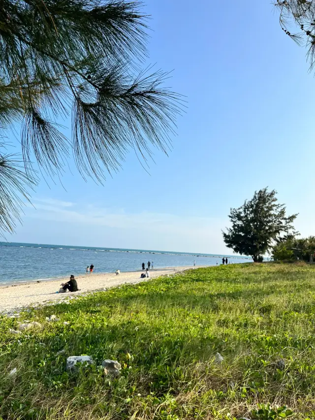 Summary of seashore gathering for parent-child travel in Sanya during the New Year, picking up starfish