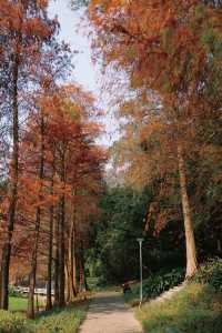 悠然逛公園之天河公園