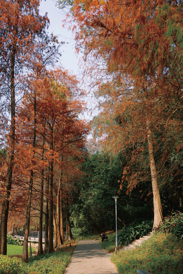 悠然逛公園之天河公園