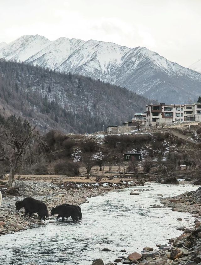 四姑娘山‖每個季節來都是不一樣的感受！