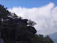 羊獅慕||見山，看山！