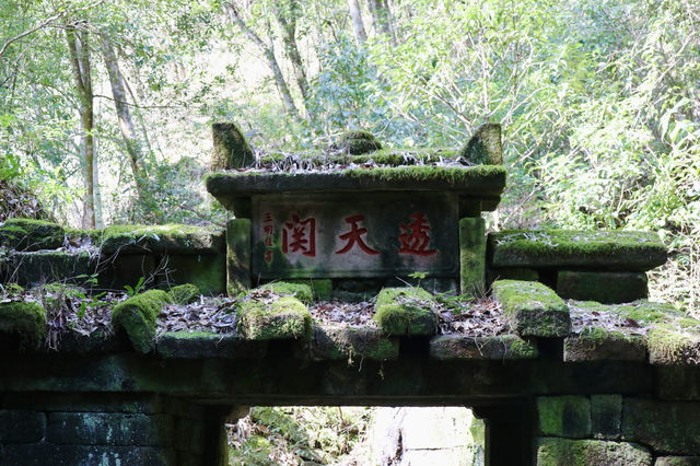 武夷山｜碧水丹山間的一味大紅袍
