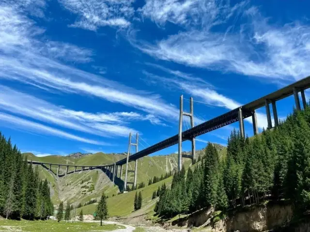 新疆伊犁的夏日美景