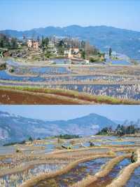 元陽|梯田、古村、集市，最全攻略看這裡！！