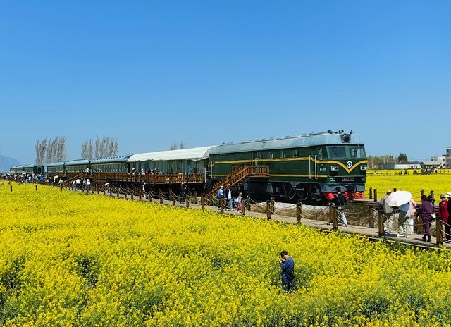來沙堤村感受這趟開往春天的列車 來沙堤村感受這趟開往春天的列車