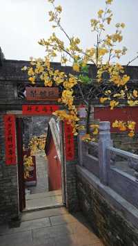 潭柘寺，你拜對了嗎？