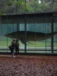 在廣州這個末日科幻感公園太適合陰雨天了