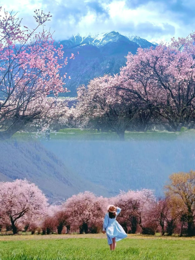 西藏·林芝｜赴一場雪山與桃花的浪漫之約