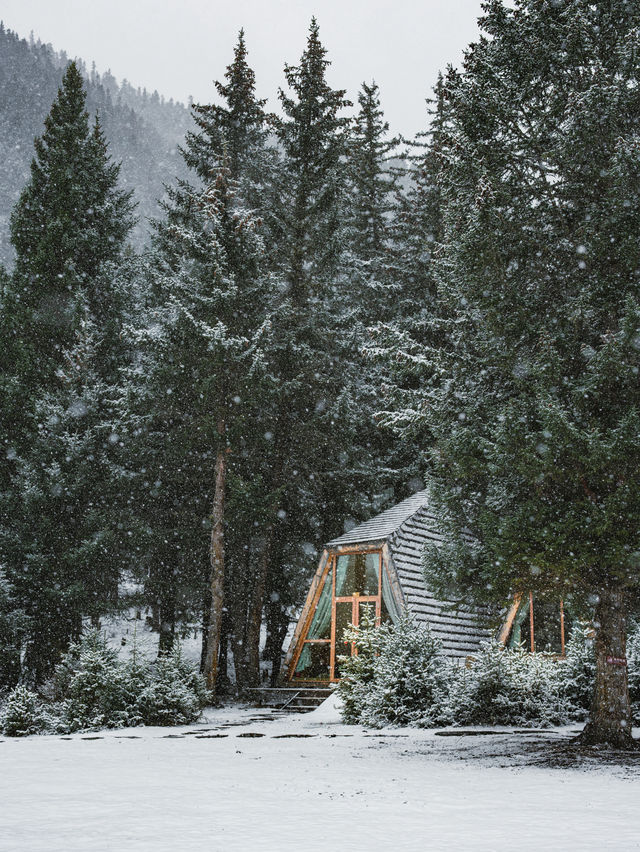 成都3h | 住進神山雪寶頂下童話森林木屋