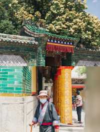 依山而建，與山寺合為一體‖塔爾寺