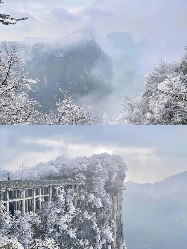 張家界天門山看霧凇帶什麼沒看這篇先別去