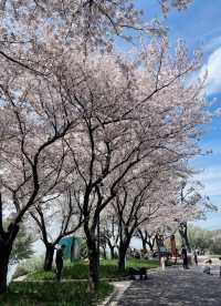 太湖植物園，你不錯過的暢玩南