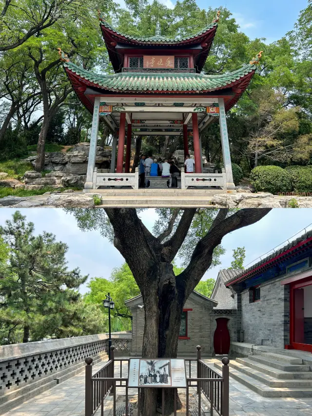 베이징 타오란팅 공원｜완전한 놀이 가이드