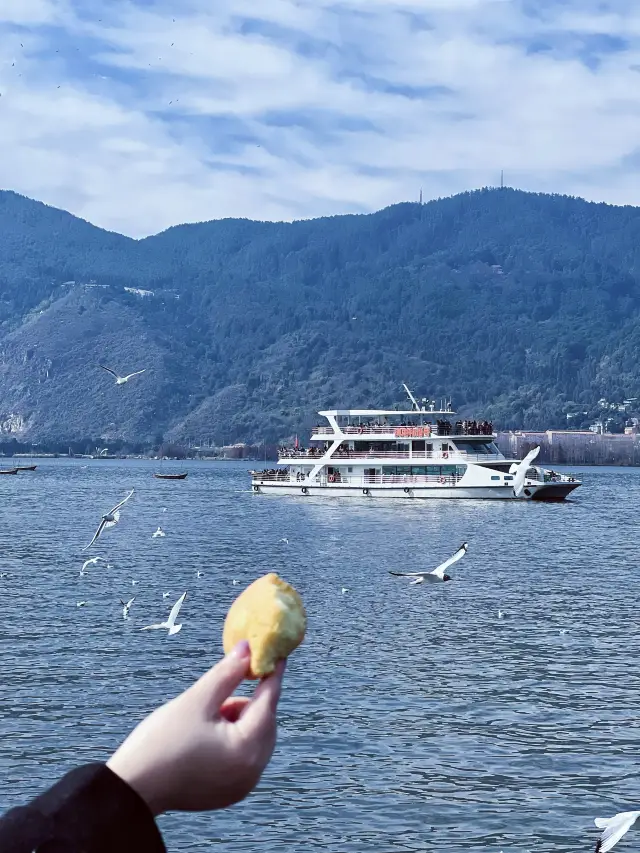 Kunming Haigeng Dam, a romantic dance with seagulls