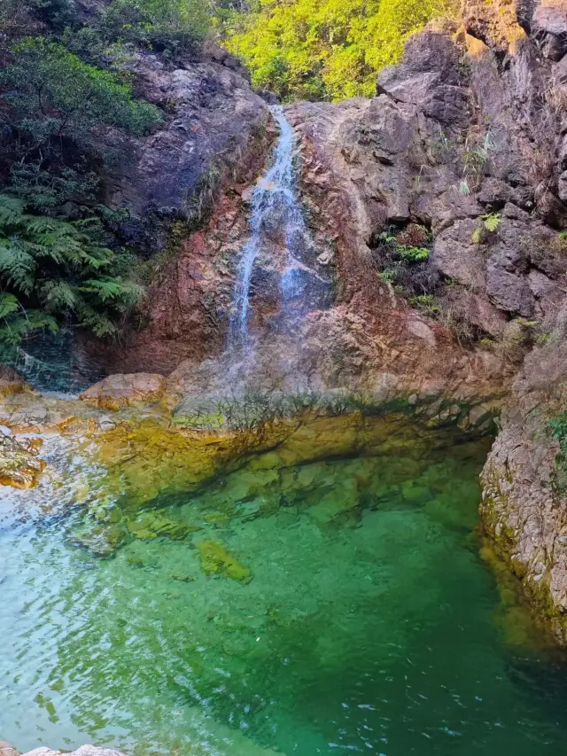 佛山｜南海灣森林生態園吸氧戲水好去處