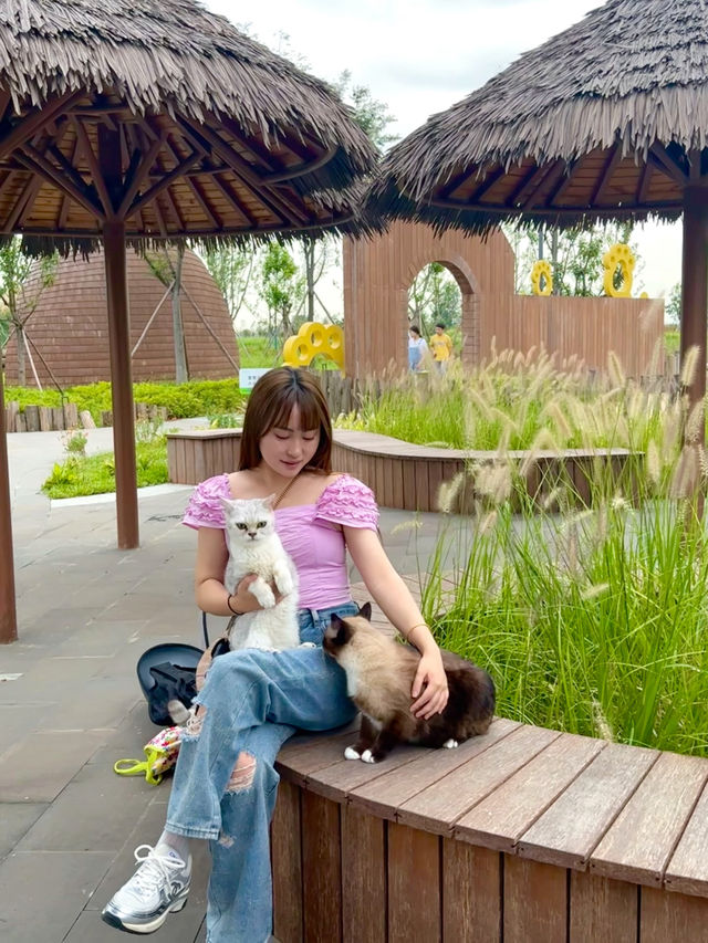 在成都也有專屬動物樂園啦