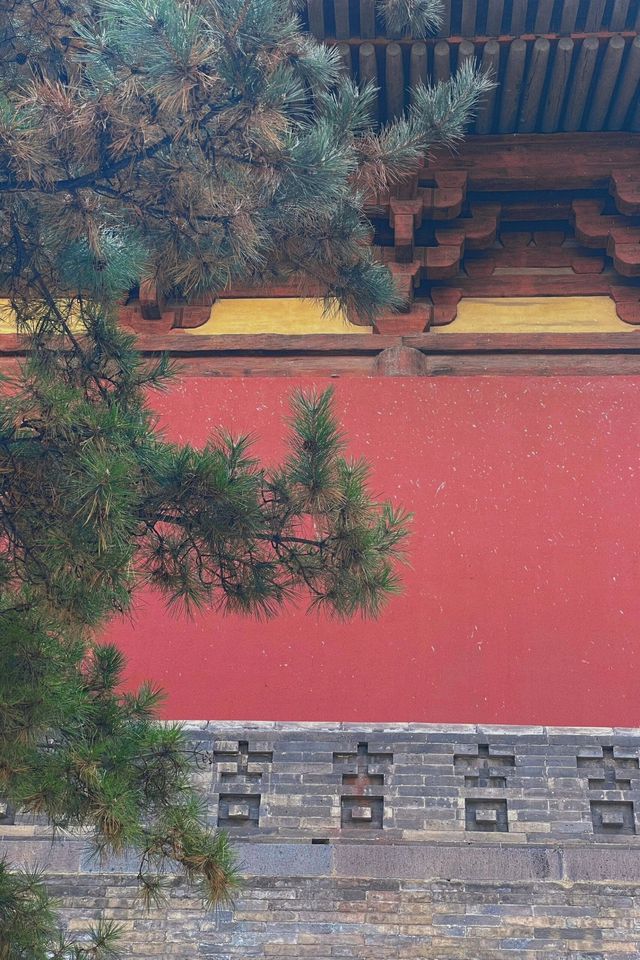 早知道大同華嚴寺，就不去京都奈良了