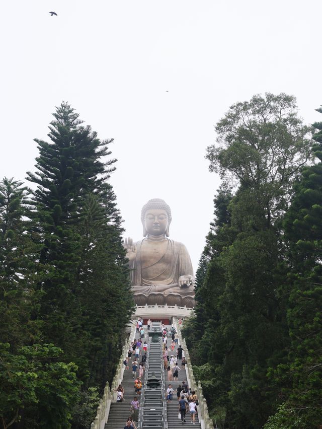 香港奇妙之旅帶你體驗不一樣的暑假生活