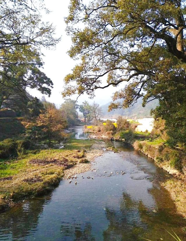 婺源察關村——千年古村，網紅古橋！