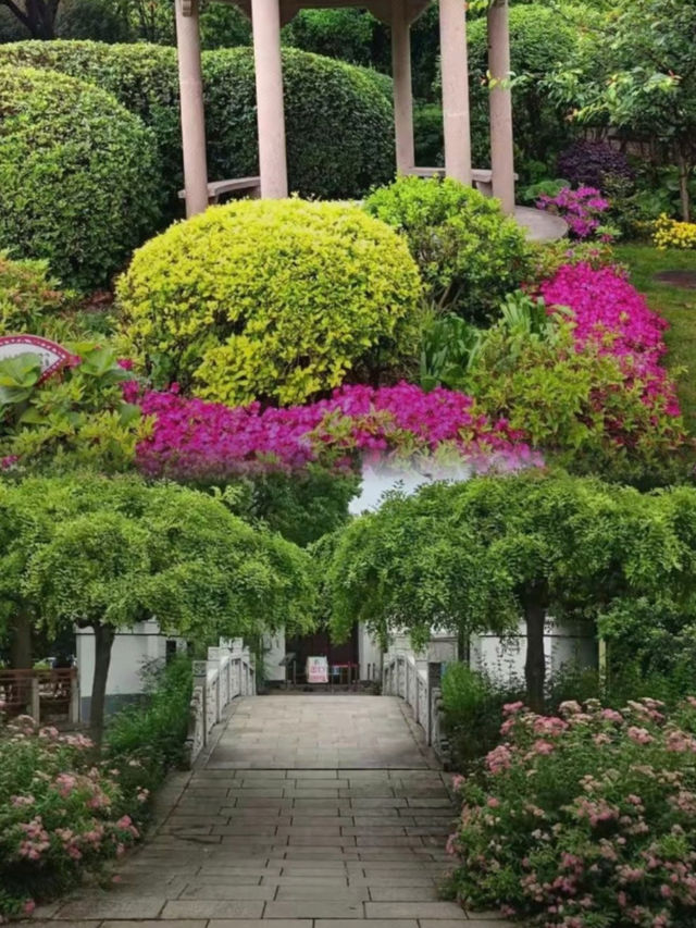 未到林園，春色何處可知否