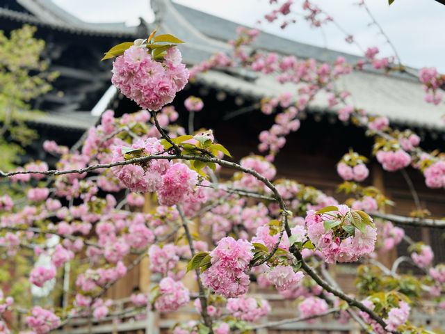 濮院繁花