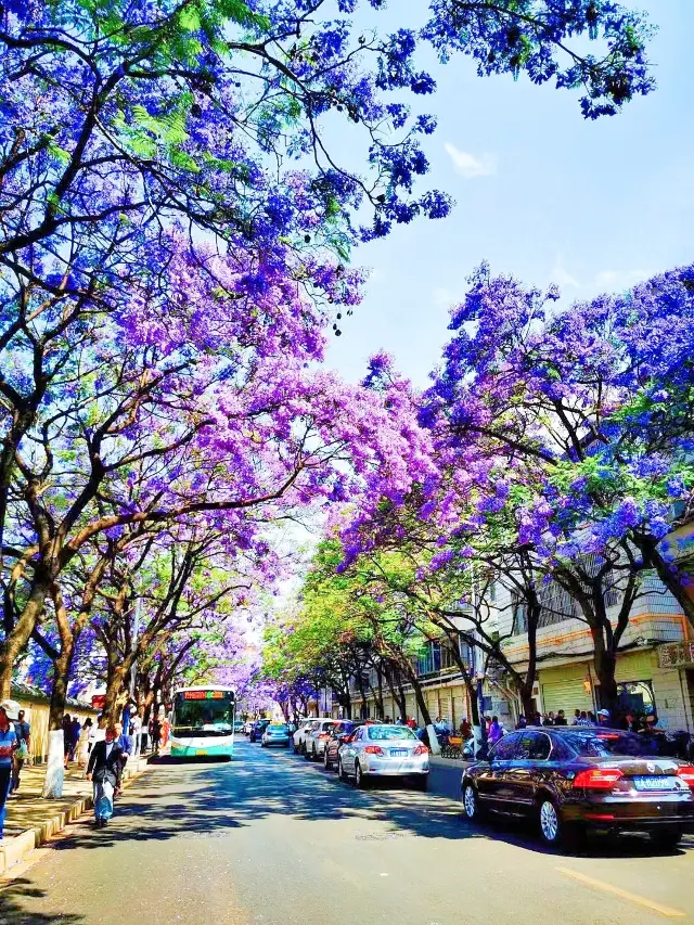 The sun is shining brightly and the sky is clear, making it a perfect time for a hiking trip to enjoy the greenery and flowers