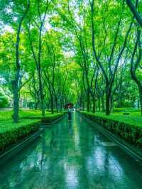 Xujiahui Park 🌼 A Serene Oasis in the Heart of Shanghai