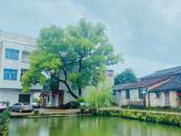中國傳統村落--永康厚吳村