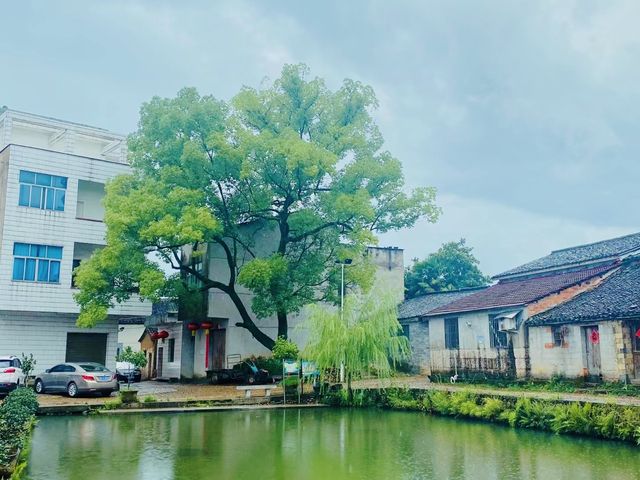 中國傳統村落--永康厚吳村