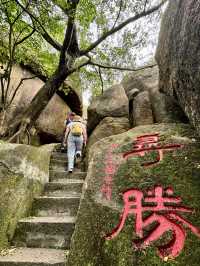 週末去哪兒019｜快閃塔山文化公園！