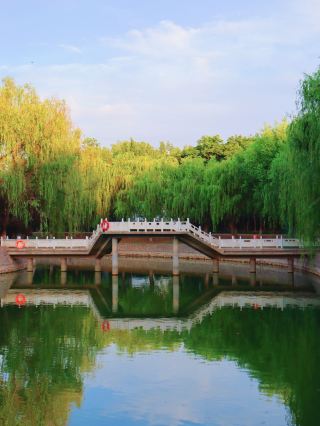 夏荷公園夏日避暑玩水好去處（附公園避暑攻略）