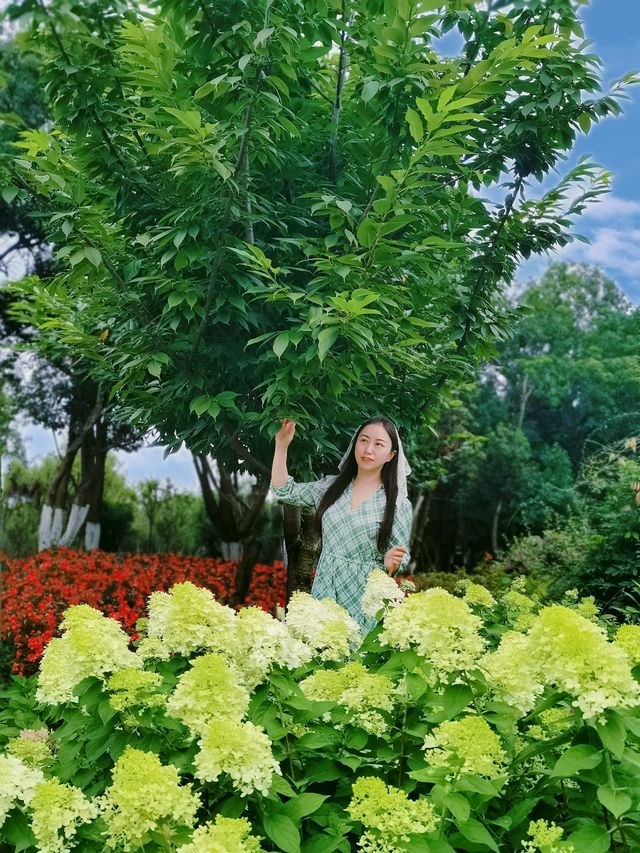 在成都！！鮮花織就的小徑
