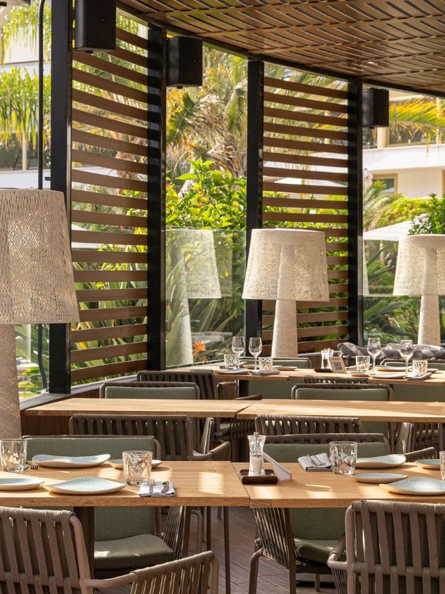 🌟 Canary Islands' Cozy Comforts at Sir Anthony 🌴✨