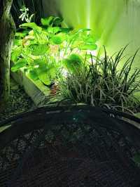 夜下小院