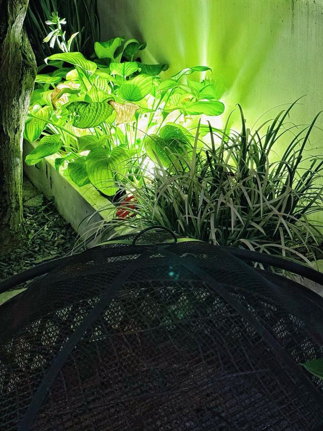 夜下小院